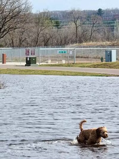 Southwest Dog Park - Eau Claire,