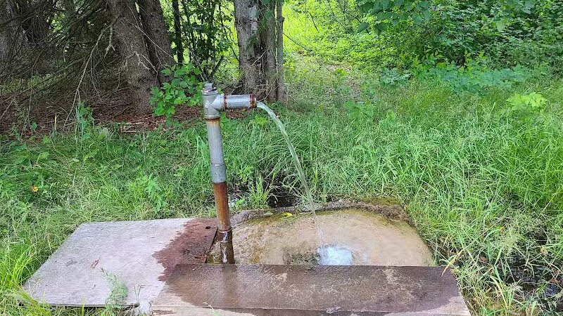 Eckerman Pond - Eckerman,