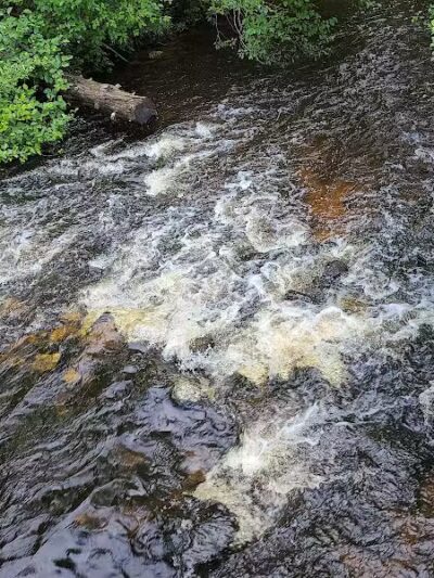 Eckerman Pond - Eckerman,