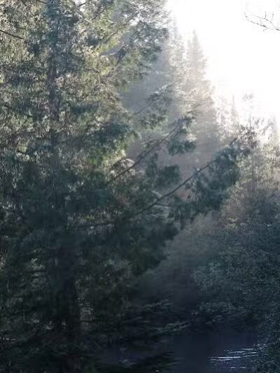 Eckerman Pond - Eckerman,