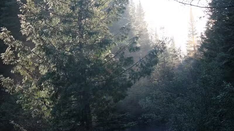 Eckerman Pond - Eckerman,