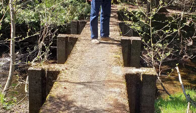 Eckerman Pond - Eckerman,