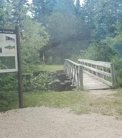 Eckerman Pond - Eckerman,