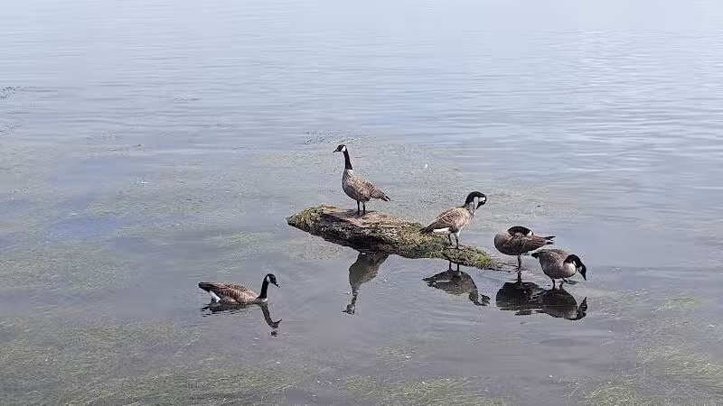 Detroit River Front - Ecorse,