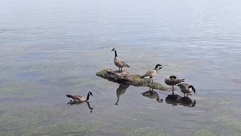 Detroit River Front - Ecorse,