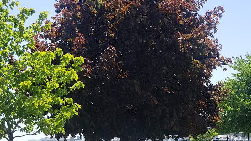 Detroit River Front - Ecorse,