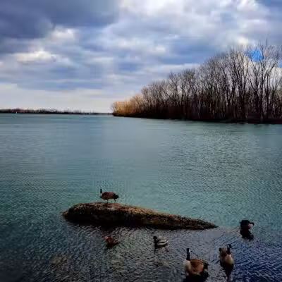 Dingell Park - Ecorse,