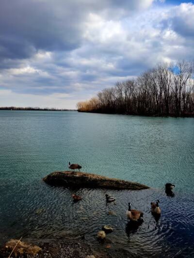 Dingell Park - Ecorse,