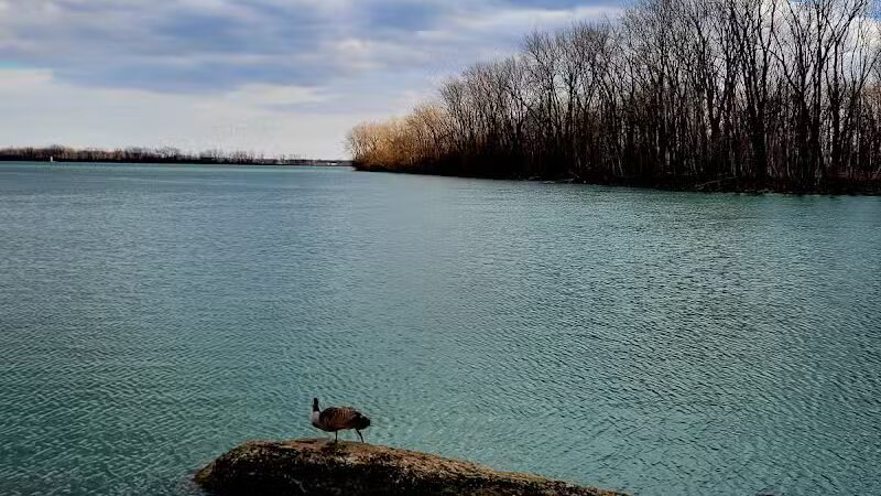 Dingell Park - Ecorse,