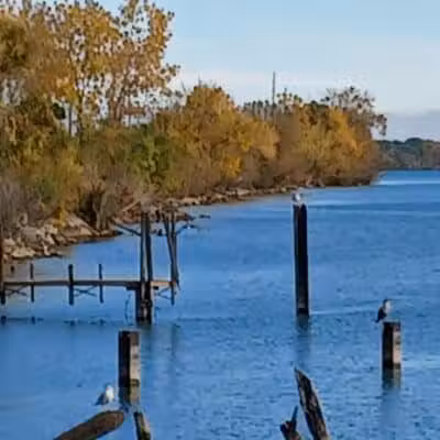 Dingell Park - Ecorse,