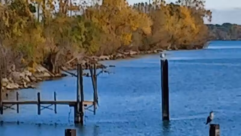 Dingell Park - Ecorse,