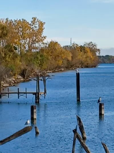 Dingell Park - Ecorse,