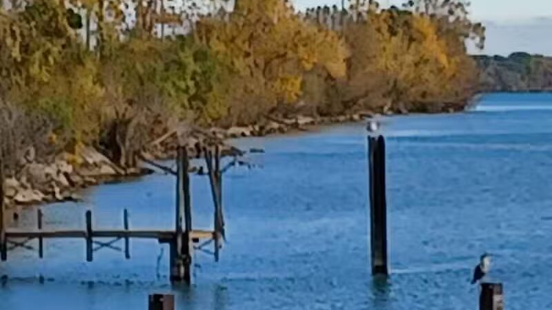 Dingell Park - Ecorse,