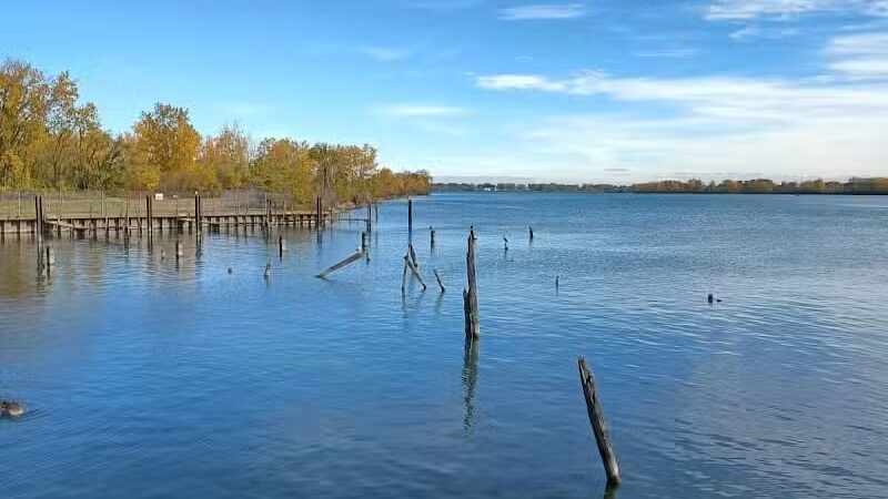 Dingell Park - Ecorse,