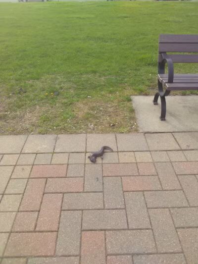 Ecorse Boat Ramp - Ecorse,