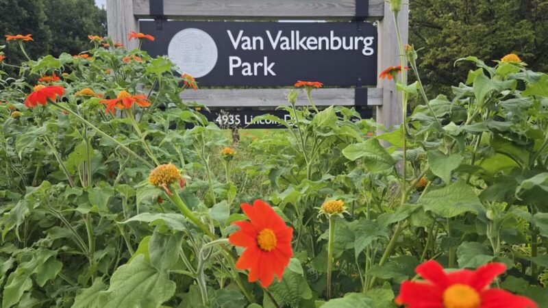 Edina Dog Park - Eden Prairie, MN