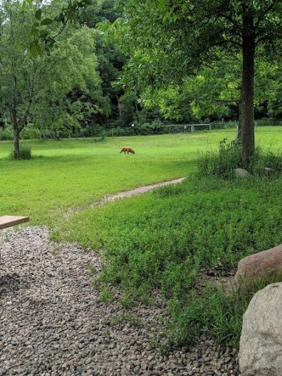 Bryant Lake Dog Park - Eden Prairie, MN