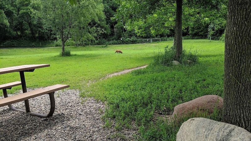 Bryant Lake Dog Park - Eden Prairie, MN