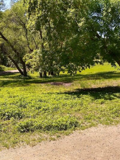 Bryant Lake Dog Park - Eden Prairie, MN