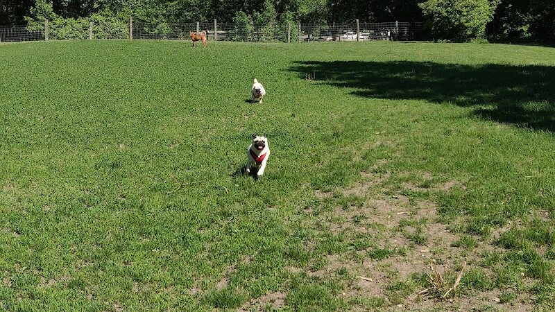 Bryant Lake Dog Park - Eden Prairie, MN