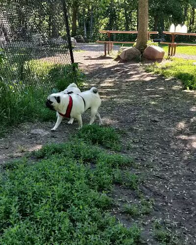Bryant Lake Dog Park - Eden Prairie, MN