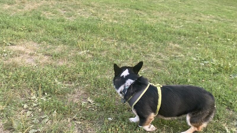 Edina Dog Park - Eden Prairie, MN