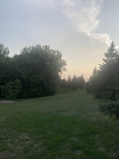 Edina Dog Park - Eden Prairie, MN