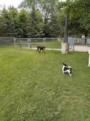 Edina Dog Park - Eden Prairie, MN