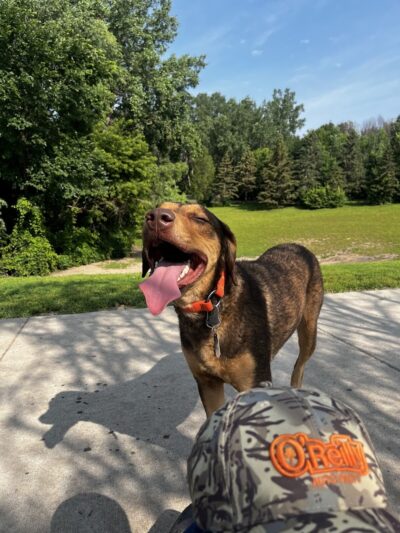 Edina Dog Park - Eden Prairie, MN