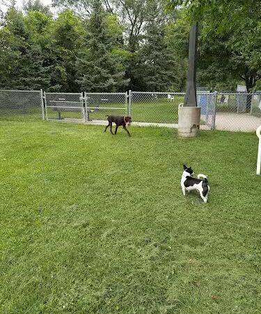 Edina Dog Park - Eden Prairie, MN