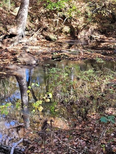 Horn Creek Trail Trailhead - Edgefield, SC
