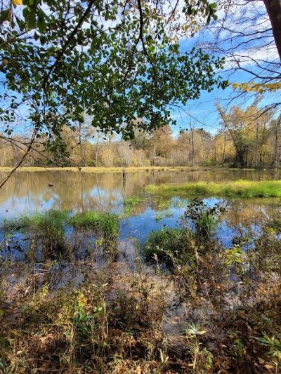 Horn Creek Trail Trailhead - Edgefield, SC
