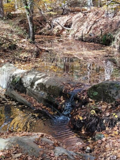 Horn Creek Trail Trailhead - Edgefield, SC