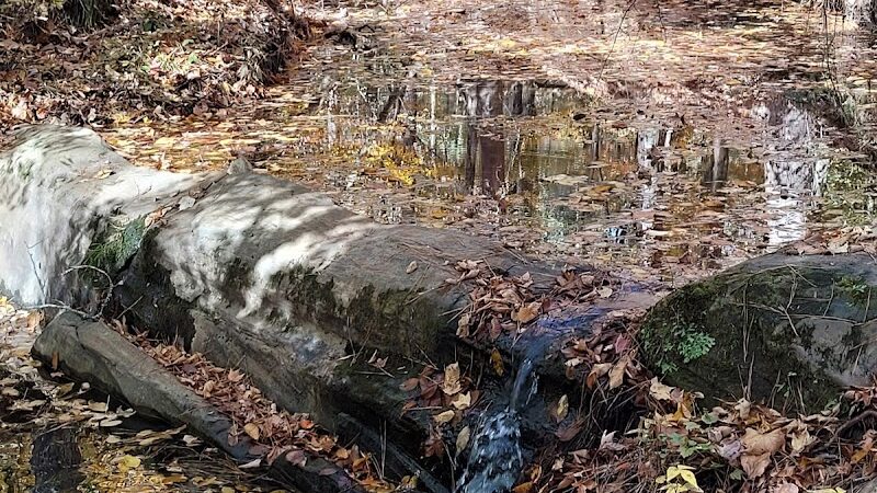 Horn Creek Trail Trailhead - Edgefield, SC