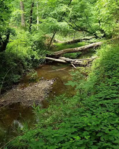 Horn Creek Trail Trailhead - Edgefield, SC