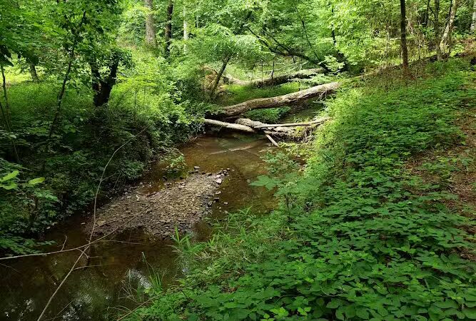 Horn Creek Trail Trailhead - Edgefield, SC