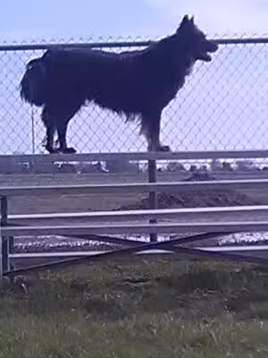 Martin Creek Dog Park - Edgerton, KS