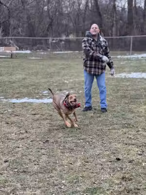 Edgerton Dog Park - Edgerton, WI
