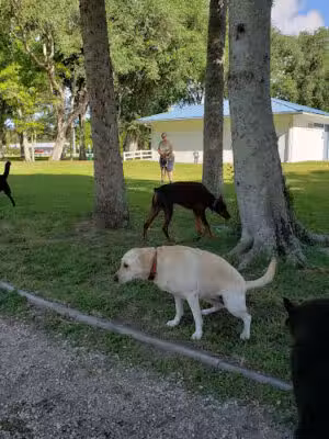 Rotary Park - Edgewater, FL