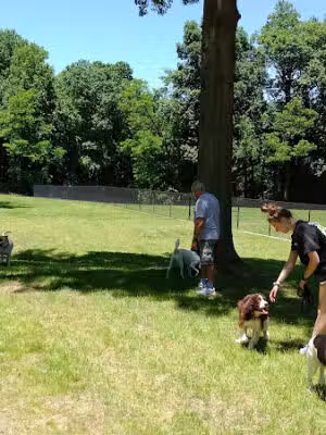 Edgewater Dog Park - Edgewater, MD