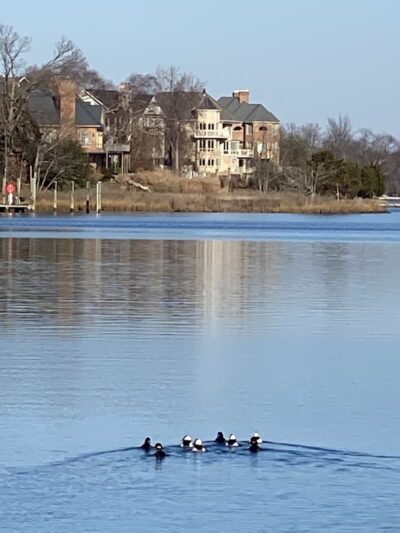 Edgewater Park - Edgewater, MD