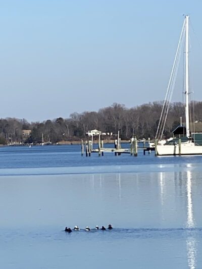 Edgewater Park - Edgewater, MD