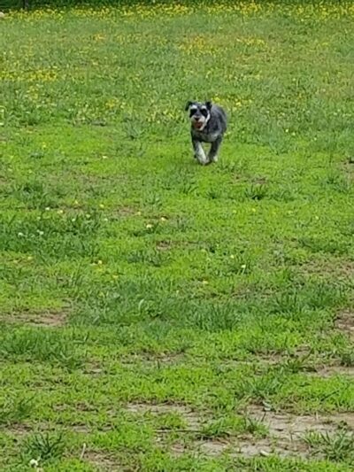 Loch Haven Park - Edgewater, MD