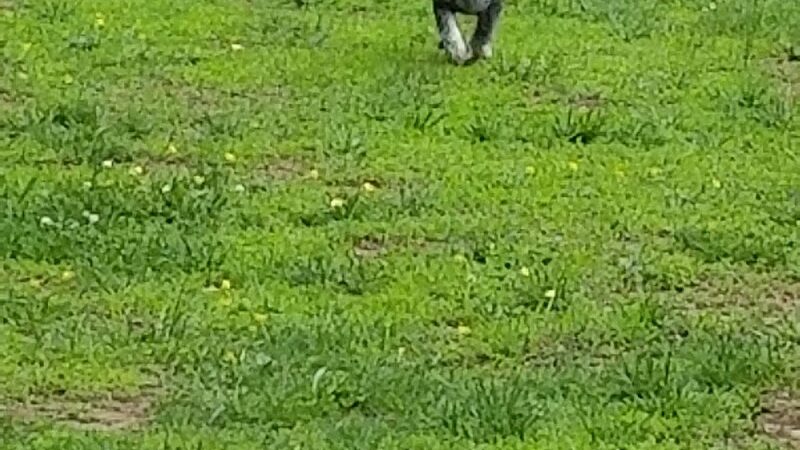 Loch Haven Park - Edgewater, MD