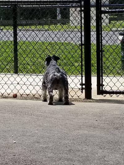 Loch Haven Park - Edgewater, MD