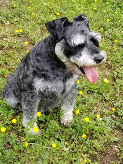 Loch Haven Park - Edgewater, MD