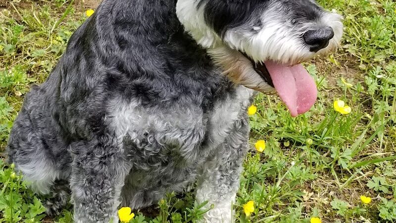 Loch Haven Park - Edgewater, MD