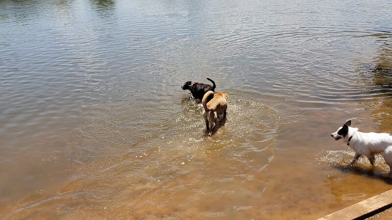 Edmond Dog Park - Edmond, OK