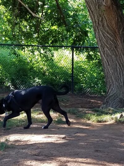 Edmond Dog Park - Edmond, OK