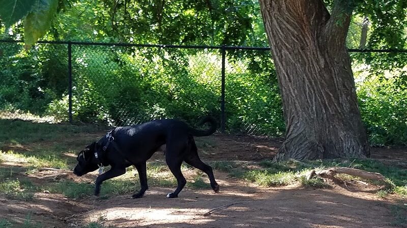 Edmond Dog Park - Edmond, OK